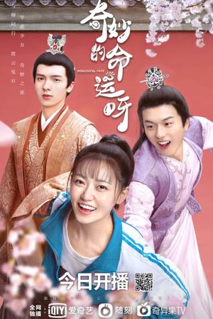 Vận Mệnh Kỳ Diệu Vận Mệnh Kỳ Diệu