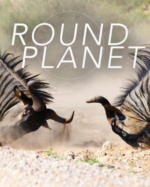 Hành Tinh Tròn Hành Tinh Tròn