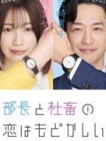 Chuyện Tình Bức Bối Của Trưởng Phòng Và Nô Lệ Công Sở Chuyện Tình Bức Bối Của Trưởng Phòng Và Nô Lệ Công Sở