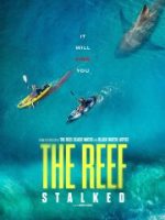 Đá Ngầm: Kẻ Theo Dõi