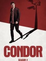 Chim Ưng (Phần 2)