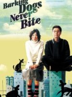 Chú Chó Mất Tích