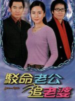 Nối Lại Tình Xưa TVB