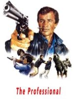 Tay Chuyên Nghiệp