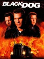 Black Dog