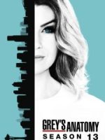 Ca Phẫu Thuật Của Grey (Phần 13)