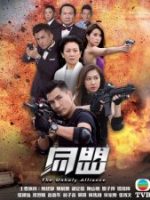 Cộng Sự Cộng Sự