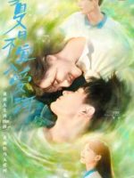 Mùa Hè Không Hợp Để Yêu Mùa Hè Không Hợp Để Yêu