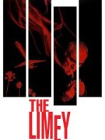 Trả Thù Kiểu Anh