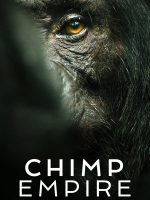 Đế chế tinh tinh