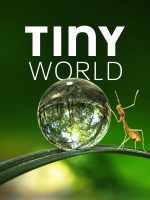 Thế Giới Siêu Nhỏ (Phần 1)