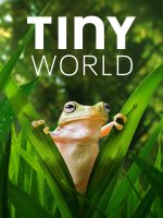 Thế Giới Siêu Nhỏ (Phần 2)