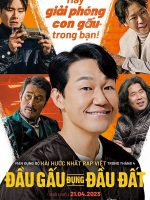 Đầu Gấu Đụng Đầu Đất