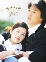 Chuyện Tình Havard Chuyện Tình Havard