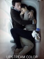 Sắc Màu Ngược Dòng