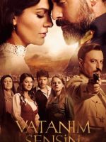 Tình Yêu Tổn Thương