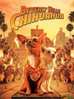 Những Chú Chó Chihuahua