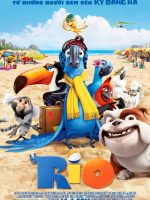 Chú Vẹt Đuôi Dài