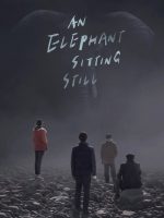 Chú Voi Ngồi Im Trên Đất