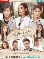 Kỳ Tích Tình Yêu