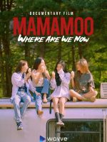 MMM: Where Are We Now