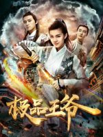 Cực phẩm vương gia