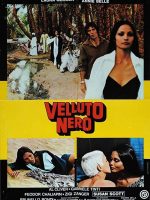 Nàng Thơ Đen Trắng