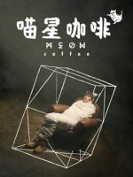 Cà phê thế giới mèo