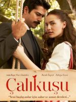 Tiếng Hót Chim Hồng Tước