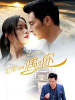 Nếu không gặp được anh Nếu không gặp được anh