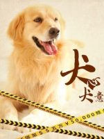 Quyết tâm của chó