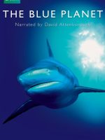 Hành Tinh Màu Xanh Dương