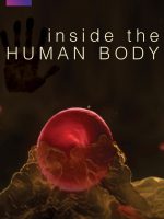 Inside the Human Body Inside the Human Body