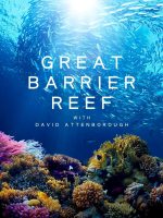 Khám Phá Rạn San Hô Great Barrier cùng David Attenborough