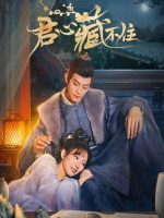 Lòng Quân Không Thể Giấu Lòng Quân Không Thể Giấu