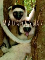 Madagascar 2011