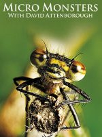 Những Quái Vật Tý Hon