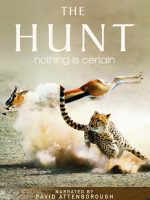 The Hunt The Hunt