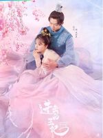 Vương Phi Tiến Công