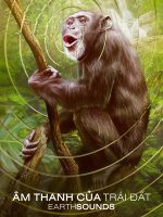 Âm Thanh Của Trái Đất - Earthsounds