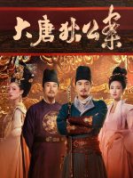 Đại Đường Địch Công Án