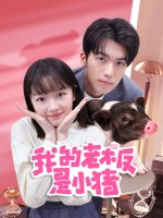 Sếp Của Tôi Là Chú Lợn Nhỏ Sếp Của Tôi Là Chú Lợn Nhỏ