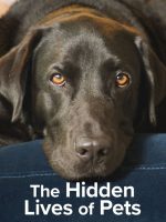 The Secret Life of Our Pets