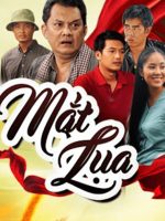 Mắt Lụa Mắt Lụa