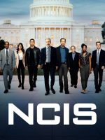 NCIS (Phần 14)