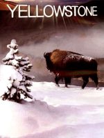 Yellowstone