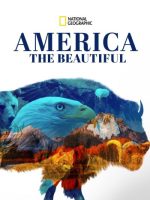 America the Beautiful