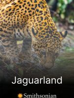Jaguarland